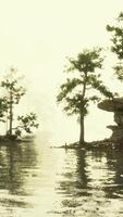 CGI idyllic mountain paradise, with a sparkling lake and verdant foliage video