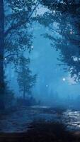 CGI foreat at hight with bright moon light video