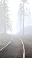 CGI empty railway goes through foggy forest in morning video