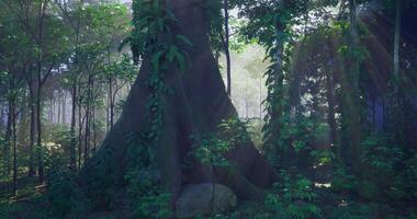 Magical CGI Majestic tree surrounded by lush greenery in a serene forest setting video