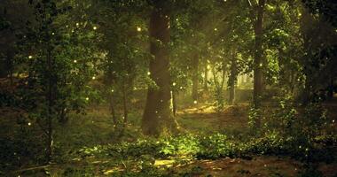 CGI Enchanting forest illuminated by glowing fireflies during twilight hours video