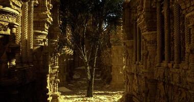 Immersive CGI Exploring ancient ruins with intricate carvings and a solitary tree video