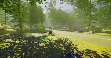 Visualized CGI Lush forest pathway illuminated by soft sunlight in tranquil surroundings video
