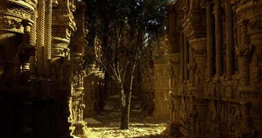 Surreal CGI Exploring ancient ruins with intricate carvings and a solitary tree video