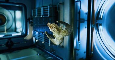Tranquil CGI Ram skull floats in zero gravity aboard the international space station video