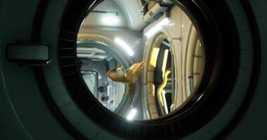 CGI Ram skull floats in zero gravity aboard the International Space Station video