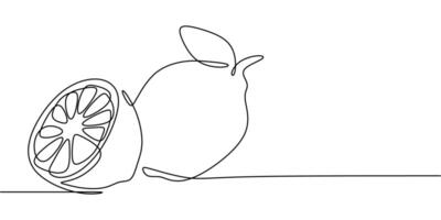 Lemon Slices with Mint Line Drawing vector