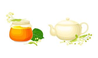 Linden or Tilia Cordata Honey in Jar and Brewing Tea in Teapot with Blossom Nearby Set vector