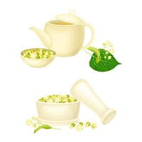 Linden or Tilia Cordata in Mortar and Brewing Tea in Teapot with Blossom Nearby Set vector