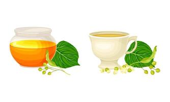 Linden or Tilia Cordata Honey in Jar and Brewing Tea in Cup with Blossom Nearby Set vector