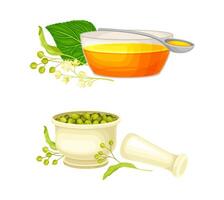 Linden or Tilia Cordata Honey in Bowl and Buds in Mortar Set vector