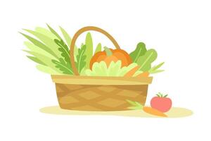 Gardening with Ripe Vegetable Crop in Basket as Plant Cultivation and Agriculture Illustration vector