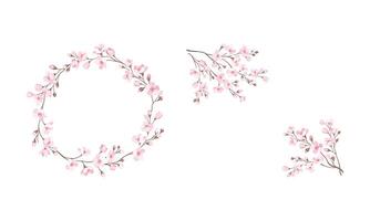 Twigs of Sakura or Cherry Blossom Arranged in Wreath Illustration Set vector