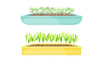 Potted microgreens set. Organic sprouted edible herbs for healthy nutrition, vegetarian superfood illustration vector