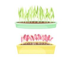 Edible microgreens in boxes set. Herbs for healthy diet, vegetarian superfood illustration vector