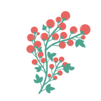 red berries on a branch icon, isolated on transparent background png