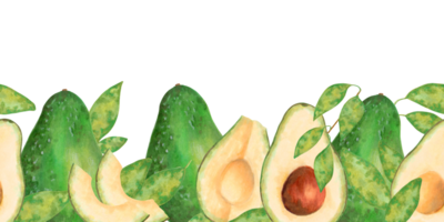Seamless border with avocado both whole and sliced fruits with leaves. Watercolor and marker illustration. Vegetable banner for food, tropical themes related design. Hand drawn isolated background png