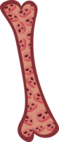 Osteoporotic Bone Structure Illustrating Bone Density Loss png