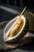 Durian Fruit. Close-up of Opened Spiky Tropical Fruit with Golden Flesh on Rustic Fabric photo