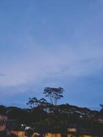 Twilight scene with a light blue sky fading into deeper hues near the horizon. Silhouetted trees and rooftops create a peaceful urban skyline at dusk, captured in a calm, semi urban setting. photo