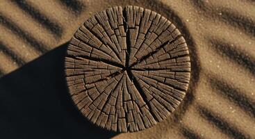 Weathered circular wood slice with growth rings and cracks on rippled sand photo