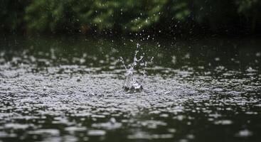 Close up of heavy rain splashing on dark water surface of a pond photo