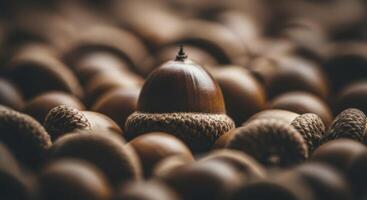 Macro shot of a single perfectly formed glossy oak acorn surrounded by blurred acorns photo