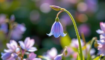 close up view of a bluebell flower hanging in still air, surrounded by soft pastel toned foliage. photo