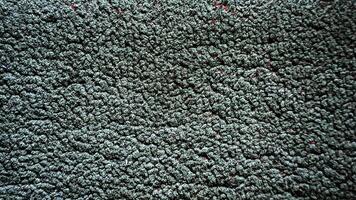 A close up of a carpet with green and red spots photo