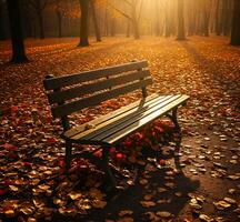 Empty Park Bench in Autumn Forest with Golden Leaves photo