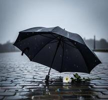 Black Umbrella in the Rain with White Flower photo