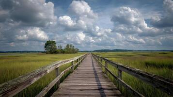 Wooden boardwalk stretches across the marshland under a bright cloudy sky on a summer day photo
