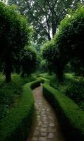 Serpentine path through a meticulously manicured garden with sculpted hedges and lush foliage creates a calming scene photo
