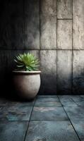 Elegantly placed succulent accentuates a stylish textured tile arrangement bringing natural calm and minimalist design photo