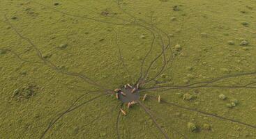 Aerial view of wild antelopes drinking in a tranquil African savannah creating pathways through the vibrant grassland photo