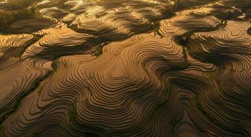 Golden sunset light reflecting on the terraced rice fields of Yunnan China forming abstract wavy patterns photo