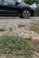 Lost car key in the ground, Car keys dropped on the floor or fall lying on the street home front. Walking Away From Lost Car Key, can not transport, express, rush time, wast time, emergency photo