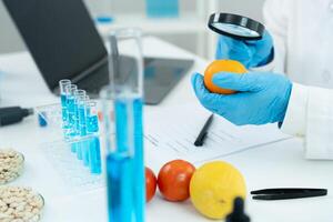 Scientist use magnifying glass to check physical occur from chemical on fruit and vegetable residues in laboratory. inspect the concentration of chemical residues, standard, find prohibited substance. photo