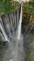 Aerial view of Tumpak Sewu waterfall cascading into deep jungle canyon surrounded by lush rainforest in East Java, Indonesia. video