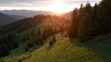 the sun is setting over a mountain range with trees video
