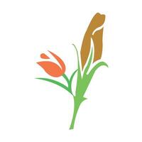 Flower ornament design element vector
