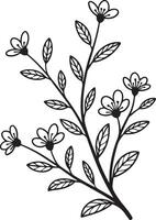 Elegant Black and White Floral Branch with Delicate Flowers, a Serene Botanical Illustration for Design vector