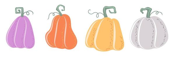 Hand drawn autumn pumpkin set. Autumn Vegetable harvest. Collection of Elements for Halloween or Thanksgiving decorative design vector