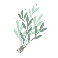Bouquet of wild herbs. Hand drawn dried witch herbs. Decorative design element. vector