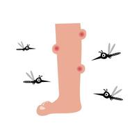 Irritated Leg with Mosquito Bites Illustration vector
