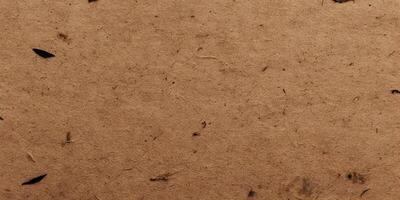 Brown Paper Texture Background with Small Plant Debris photo