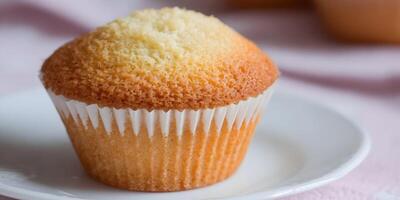 Single Plain Muffin on White Plate Closeup Photography photo