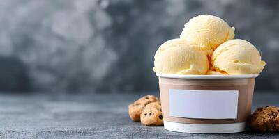 Three Scoops Vanilla Ice Cream Paper Cup Chocolate Chip Cookies photo