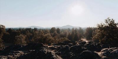 Rocky Landscape with Forest and Distant Mountains at Sunset photo
