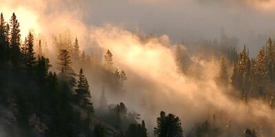 Sunrise Foggy Mountain Landscape Coniferous Trees Golden Light photo
